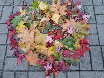 20251017 123446 resized